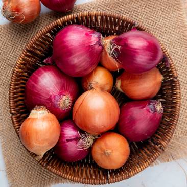 Onion Seeds