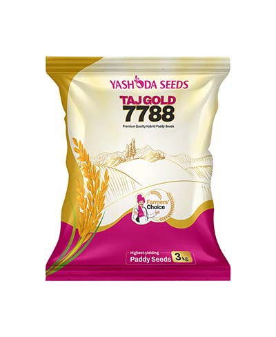 TAJ GOLD 7788