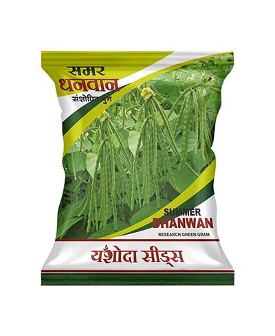 Summer Dhanwan
