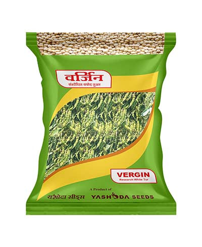 Vergin