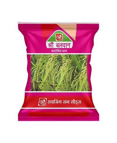 Shri Balwan