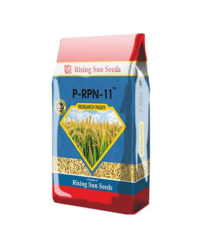 P-RPN 11