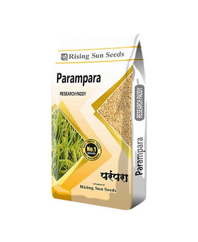 Parampara