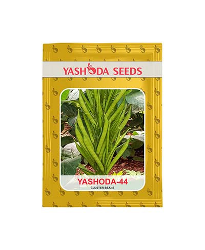 YASHODA- 44