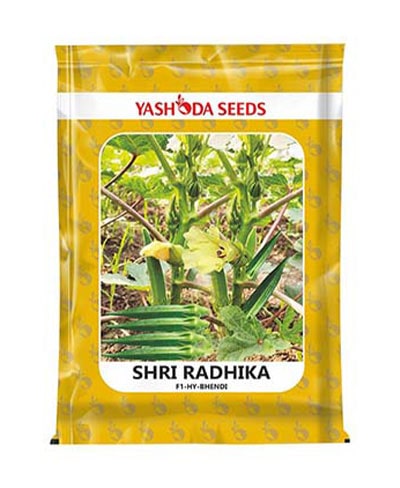 SHRI RADHIKA