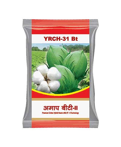 AMAP ( YRCH-31 )