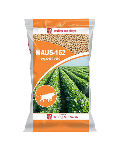 MAUS -162
