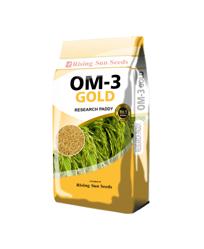 OM-3 Gold