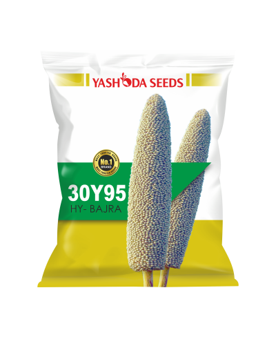 30Y95