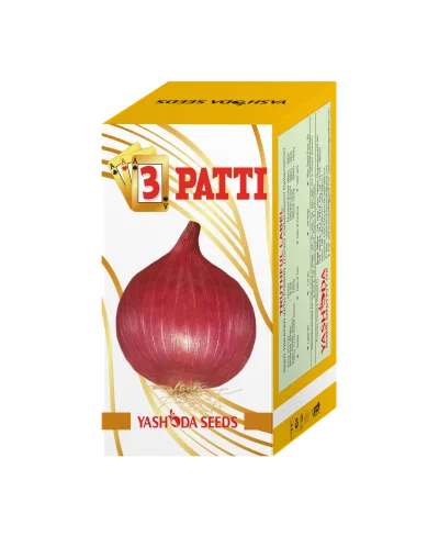 3 PATTI