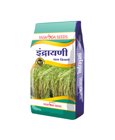 INDRAYANI