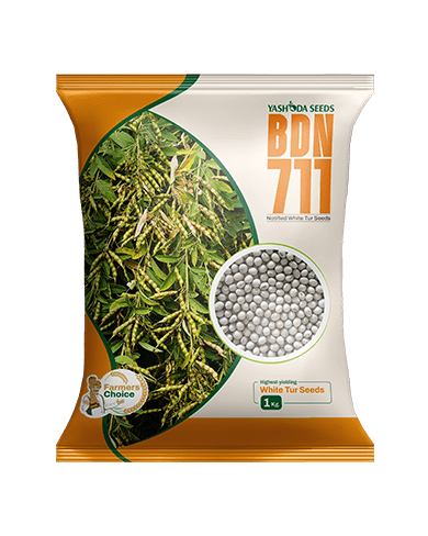 BDN - 711