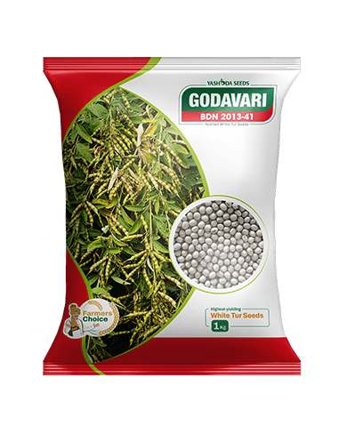 Godavari
