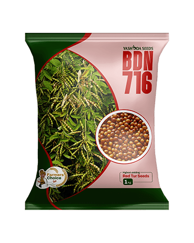 BDN - 716