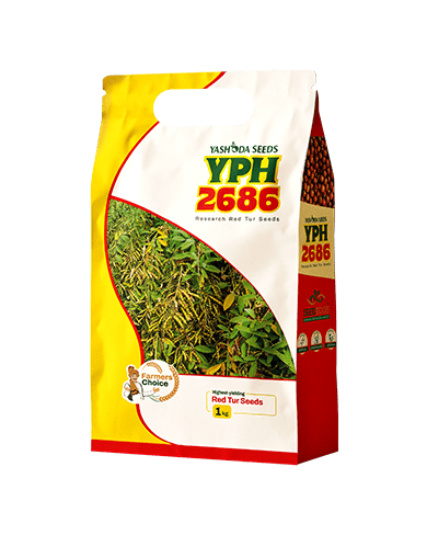 YPH - 2686