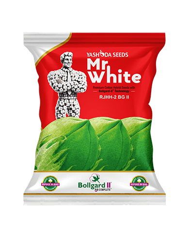 Mr. White BG II