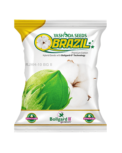 Brazil BG II