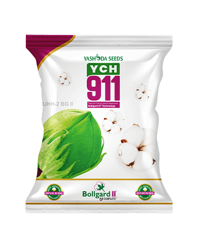 YCH 911 BG𑅂
