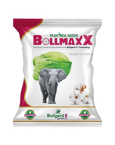 BollmaxX BG II